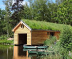 Wildflower Roof Turf