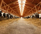 Farmcrete