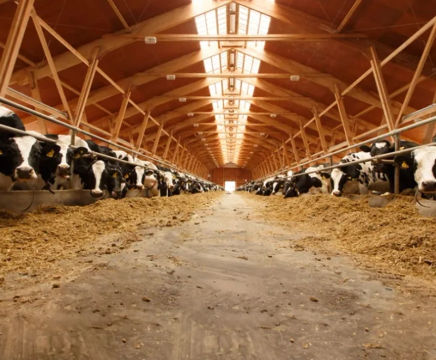 Farmcrete