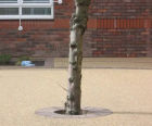 RonaDeck Eco Tree Pit - resin bound porous tree surround