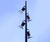 Escofet Kanya - lighting column 0