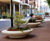 Mago - Dish concrete planter / seat 0