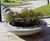 Mago - Dish concrete planter / seat 3