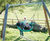 Cradle Nest Special - outdoor playground swing for group play 1