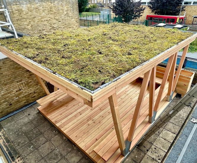 Outdoor classrooms with seating and green roofs for school