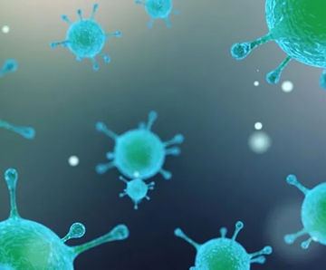 Bacterial products for effluent bioaugmentation
