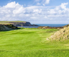 New J Sustain - Fairway mix for sustainable fairway management