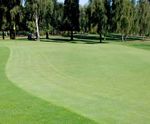 J Sustain - Fairway grass seed mix for sustainable golf fairways