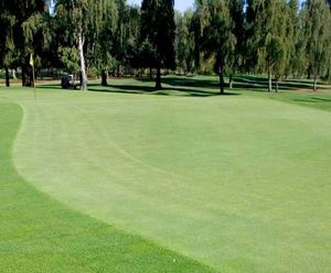 J Sustain - Fairway grass seed mix for sustainable golf fairways