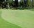 J Sustain - Fairway grass seed mix for sustainable golf fairways 0