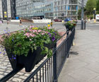 Full Barrier self-watering planter basket
