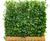 Mobilane Green Screen - living privacy hedge panels 0