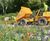Design and install of new paths for Ranscombe Farm Reserve 3