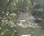 Design and install of new paths for Ranscombe Farm Reserve 5