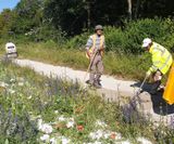 Design and install of new paths for Ranscombe Farm Reserve - on this page