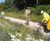 Design and install of new paths for Ranscombe Farm Reserve 0
