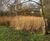 Tump 53 Ponds Thamesmead Dredging And Regeneration 4