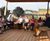 Outdoor classrooms with seating and green roofs for school 2