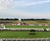 J 4Turf 25 sports seed delivers strength at Stratford Racecourse 0