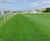 J 4Turf 25 sports seed delivers strength at Stratford Racecourse 1