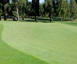J Premier Fairway seed mix for sustainable golf fairways and tees - on this page