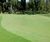 J Premier Fairway seed mix for sustainable golf fairways and tees 0