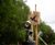 Nature-inspired inclusive adventure playground - Pennington Flash 5