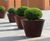 Pitocca Interior Planter 0
