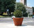 Pitocca Interior Planter 2
