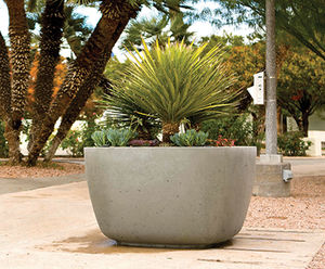 Larkspur Interior Planter