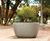 Larkspur Interior Planter 0