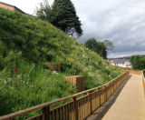 Geoweb® Slope Protection - Donside, Aberdeen  - on this page