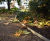 AluExcel landscape edging - 25 Cannon Street, London 5