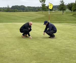 Chesfield Downs mitigating disease pressure by overseeding
