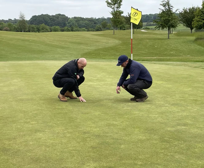 Chesfield Downs mitigating disease pressure by overseeding