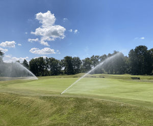 Improving sward composition at Beau Desert Golf Club