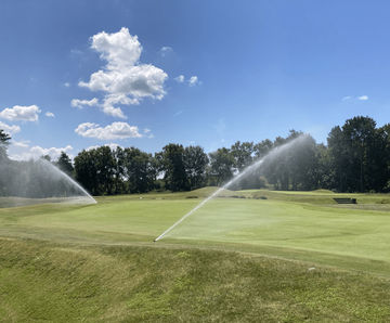 Improving sward composition at Beau Desert Golf Club