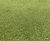 Improving sward composition at Beau Desert Golf Club 1