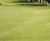 Overseeding with bentgrass at Bransford Golf Club 0
