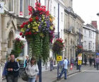 Half Unit Up-the-Pole self-watering plant baskets