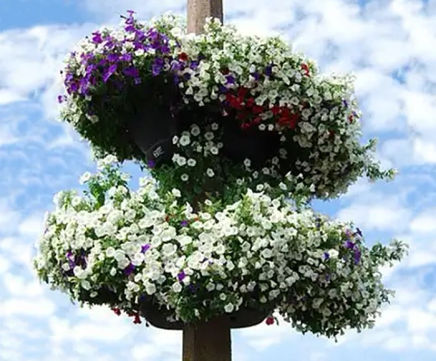 Cup & Saucer Up-the-Pole self-watering plant basket