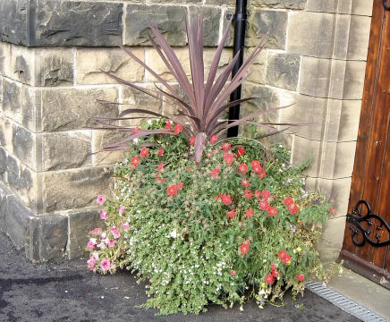 Big Flower Pot self-watering plastic planter (BFP-0P)