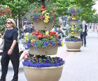 Circular Precinct self-watering tiered planter (CFS-3P)