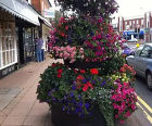 Octagonal self-watering tiered plastic planter (OCT-3P)