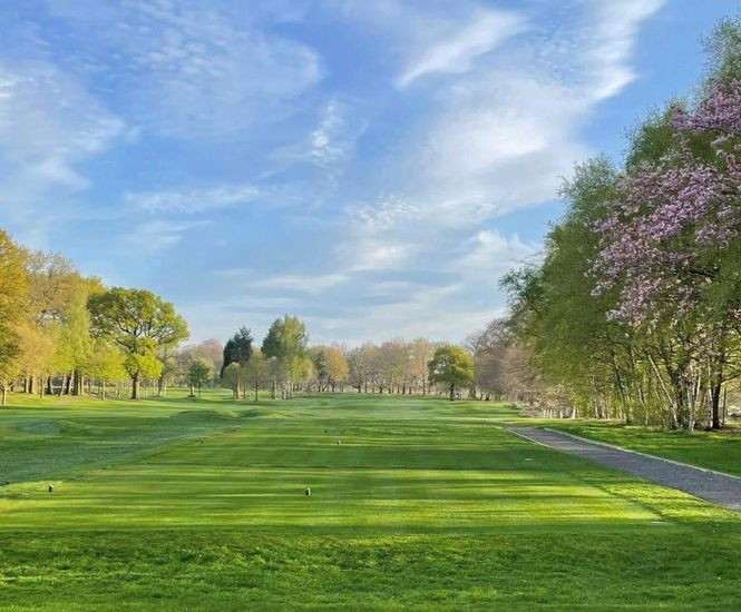 J Tee grass seed provides solution to shade issues at golf course