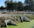 Local headwalls in Norfolk 0