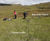 SM150T soil moisture sensor helps explore soil erosion in Iceland 1