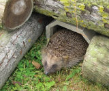 ACO Wildlife Refuge - polymer concrete shelter for small animals - on this page