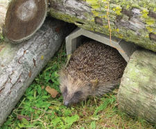 ACO Wildlife Refuge - polymer concrete shelter for small animals