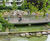 Serpentine footbridge and observation platform for park in France 0